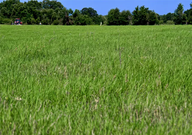 Photo 3 of Land for sale at 8752 Fm 1749, Sunset, TX 76270 | MLS# 21291511 | Listing updated on 2026-09-16