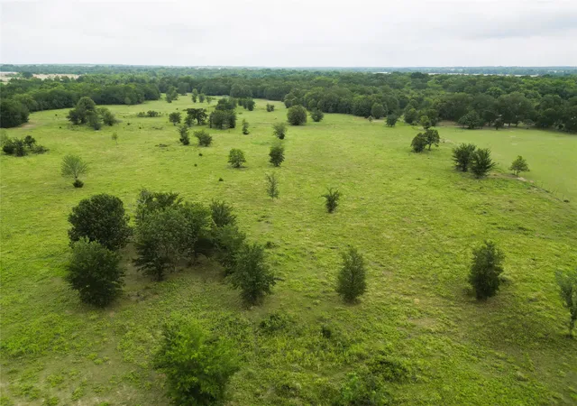 Photo 2 of Land for sale at 30213ac Cr 4766, Sulphur Springs, TX 75482 | MLS# 21291380 | Listing updated on 2026-10-01