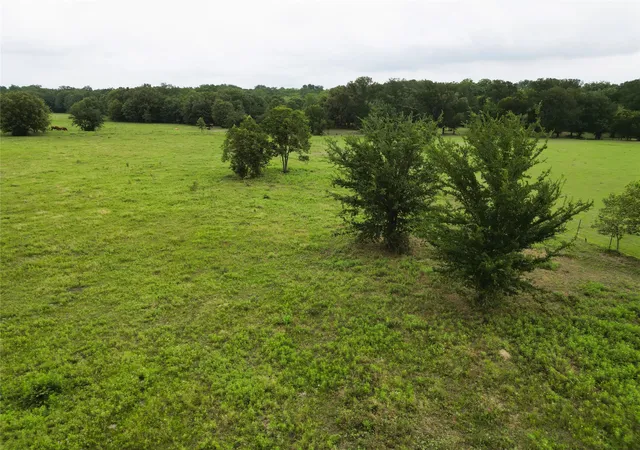 Photo 3 of Land for sale at 30213ac Cr 4766, Sulphur Springs, TX 75482 | MLS# 21291380 | Listing updated on 2026-10-01