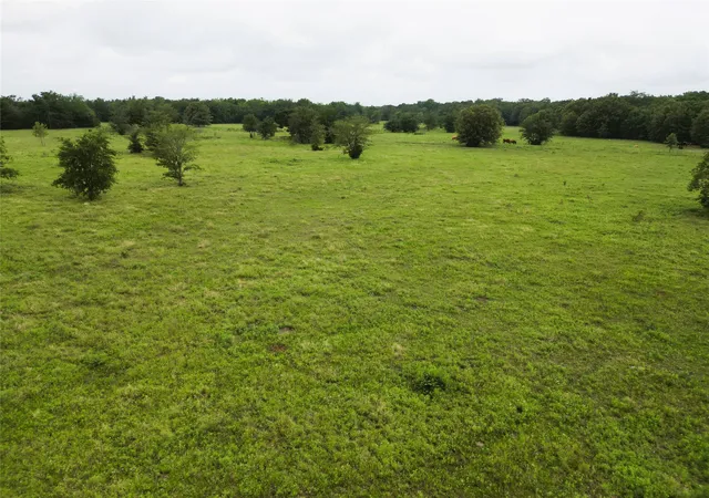 Photo 3 of House for sale at 30213Ac Cr 4766, Sulphur Springs, TX 75482 | MLS# 21291380 | Listing updated on 2026-10-01