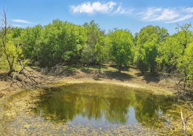 Homes for sale in Gorman, TX | 1359 County Road 195, Gorman, TX 76454 | MLS# 21291814