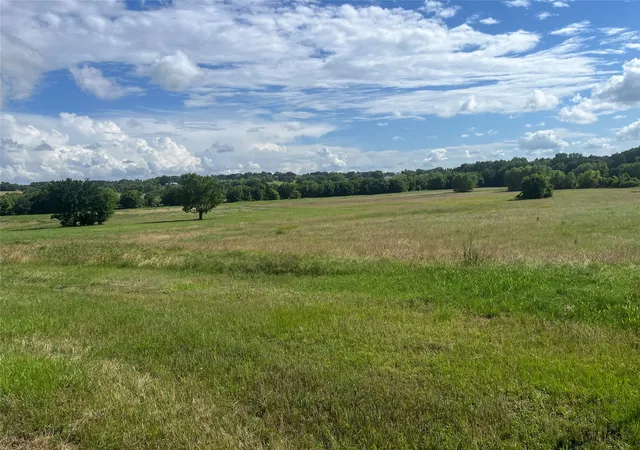 Homes for sale in Athens, TX | Lot 351 Grand View Dr, Athens, TX 75752 | MLS# 21292009