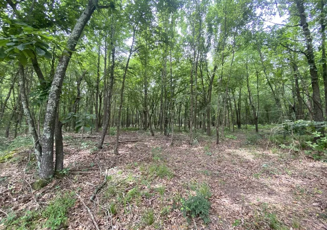 Homes for sale in Mt Pleasant, TX | Lot 10 & 11 Cr 3920, Mt Pleasant, TX 75455 | MLS# 21292215