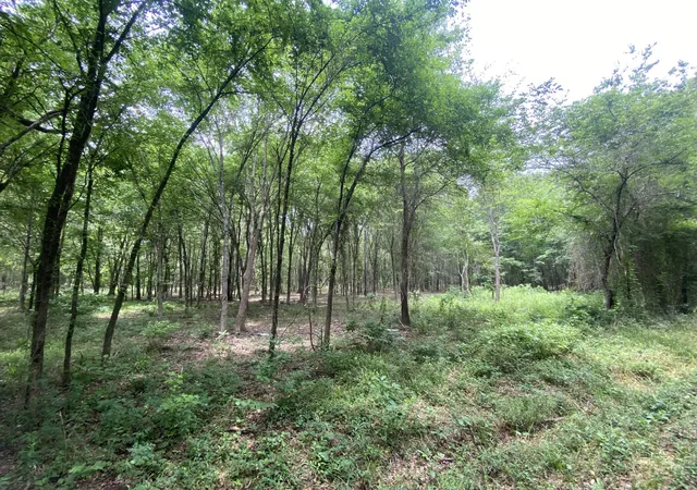 Homes for sale in Mt Pleasant, TX | Lot 10 & 11 Cr 3920, Mt Pleasant, TX 75455 | MLS# 21292215