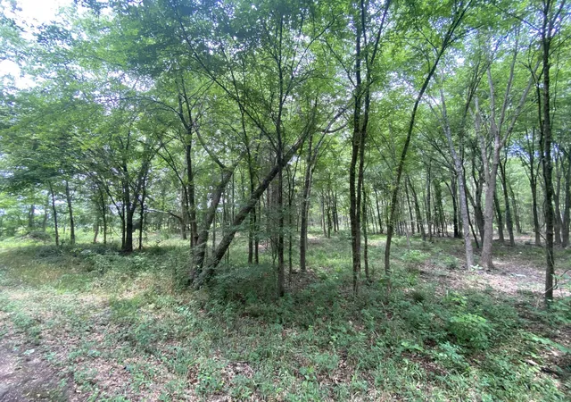 Photo 3 of Land for sale at Lot 10 & 11 Cr 3920, Mount Pleasant, TX 75455 | MLS# 21292215 | Listing updated on 2026-07-06