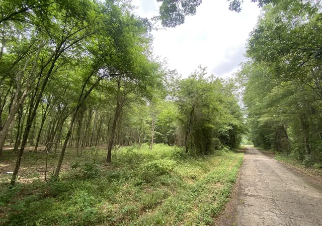 Homes for sale in Mt Pleasant, TX | Lot 10 & 11 Cr 3920, Mt Pleasant, TX 75455 | MLS# 21292215