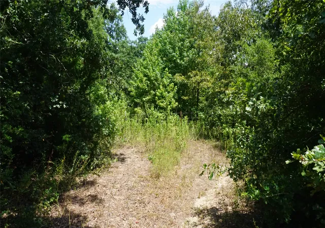 Homes for sale in Hawkins, TX | Tbd Private Road 7907, Hawkins, TX 75765 | MLS# 21292643
