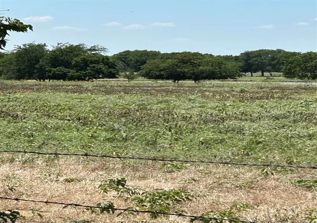 Homes for sale in Tioga, TX | 1170 Airport Rd, Tioga, TX 76271 | MLS# 21287076