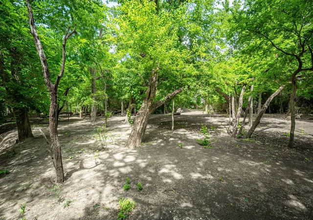 Homes for sale in Lucas, TX | 1615 Sara Cvs, Lucas, TX 75002 | MLS# 21288132