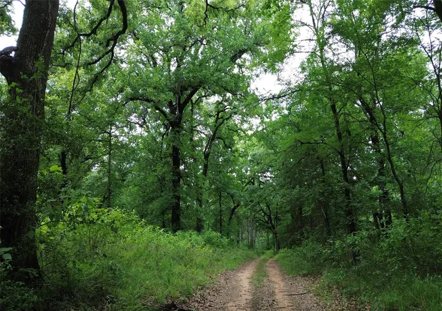 Photo 2 of Land for sale at 12387 County Road 3120, Kerens, TX 75144 | MLS# 21292851 | Listing updated on 2026-09-15