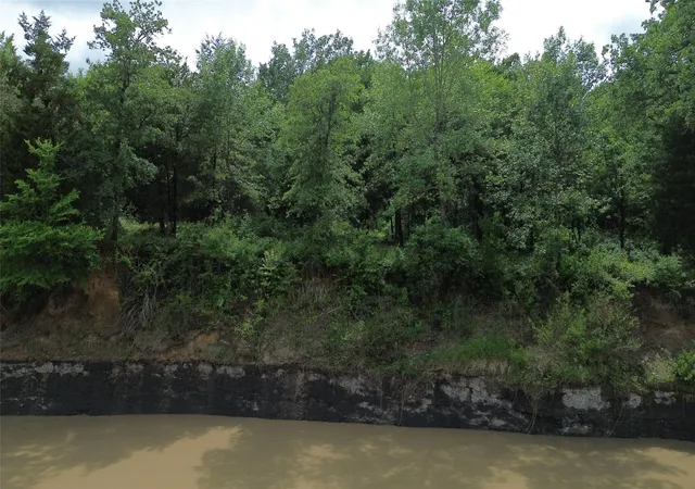 Photo 3 of Land for sale at 12387 County Road 3120, Kerens, TX 75144 | MLS# 21292851 | Listing updated on 2026-08-22