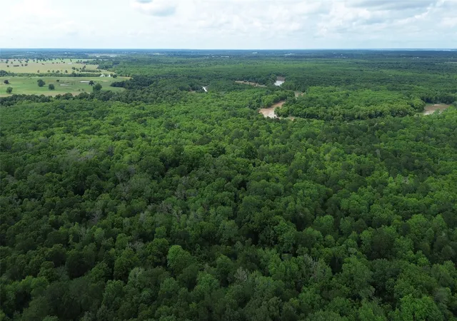 Photo 1 of Land for sale at 12387 County Road 3120, Kerens, TX 75144 | MLS# 21292851 | Listing updated on 2026-09-15