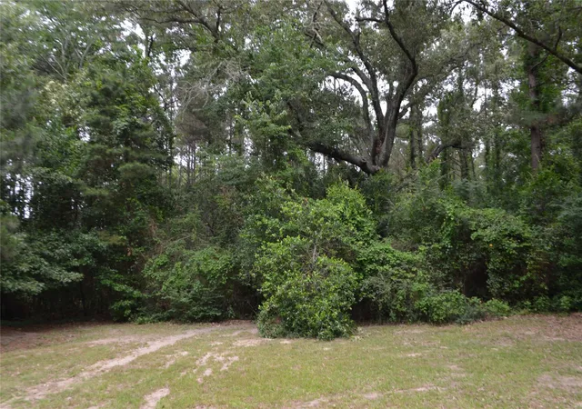 Homes for sale in Overton, TX | 1508 Hwy 135, Overton, TX 75684 | MLS# 21284529