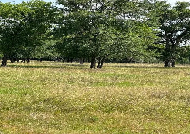 Photo 1 of Sale Pending at 454 Hcr 2129 W, Whitney, TX 76692 | MLS# 21293768 | Listing updated on 2026-08-04