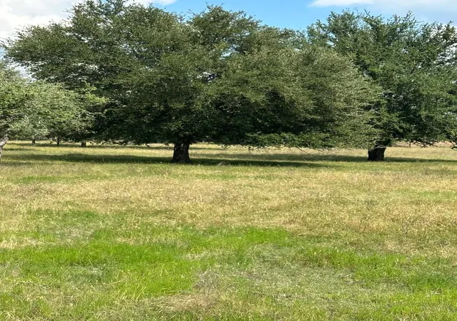 Photo 2 of Sale Pending at 454 Hcr 2129 W, Whitney, TX 76692 | MLS# 21293768 | Listing updated on 2026-08-04