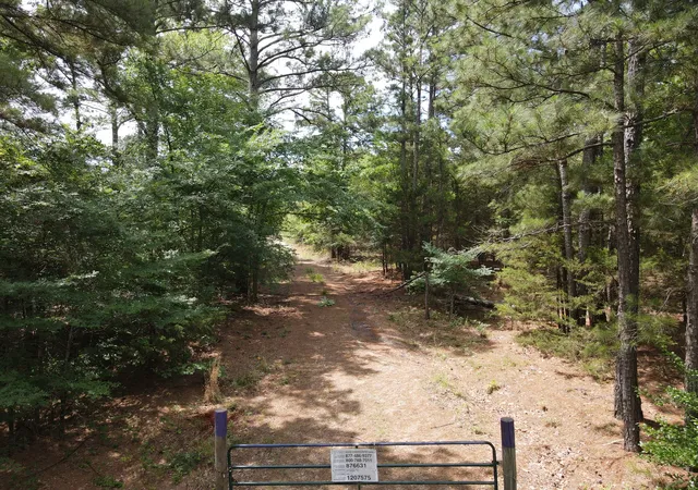 Photo 2 of Land for sale at Tbd 16 +/  Ac Vz County Road 4814, Ben Wheeler, TX 75754 | MLS# 21293794 | Listing updated on 2026-09-03