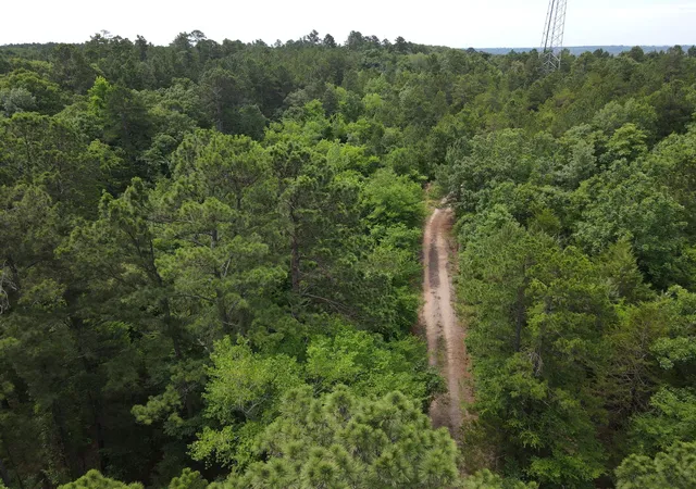 Photo 3 of Land for sale at Tbd 16 +/  Ac Vz County Road 4814, Ben Wheeler, TX 75754 | MLS# 21293794 | Listing updated on 2026-09-03