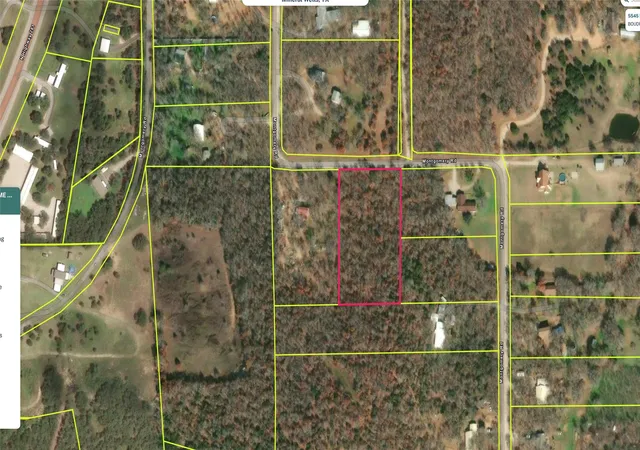 Homes for sale in Mineral Wells, TX | 9 Montgomery Rd, Mineral Wells, TX 76067 | MLS# 21293953
