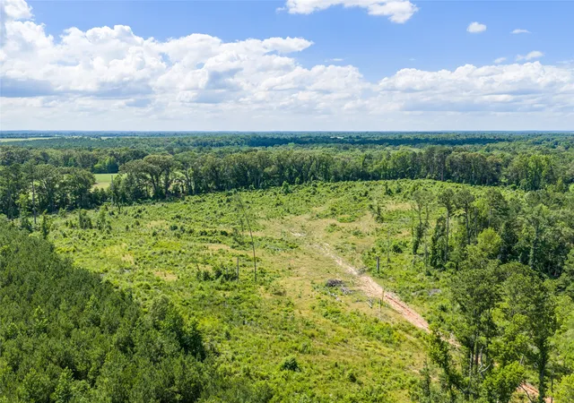 Homes for sale in Gilmer, TX | Tbd Mule Deer Rd Rd, Gilmer, TX 75644 | MLS# 21293971