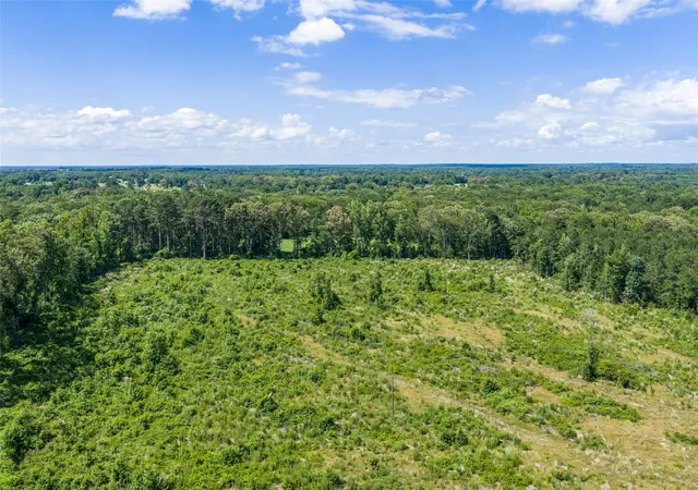 Homes for sale in Gilmer, TX | Tbd Mule Deer Rd Rd, Gilmer, TX 75644 | MLS# 21293971