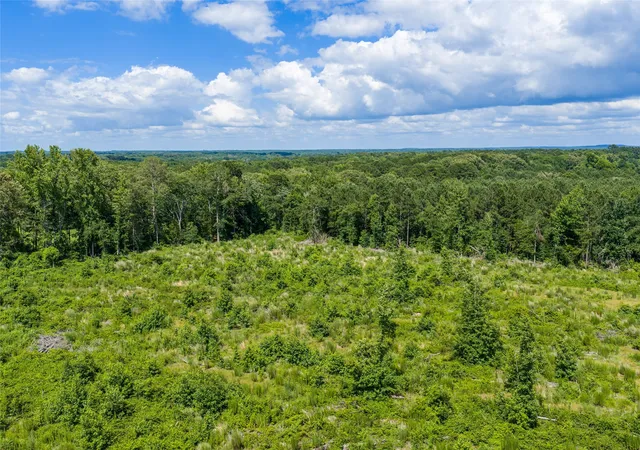 Homes for sale in Gilmer, TX | Tbd Mule Deer Rd Rd, Gilmer, TX 75644 | MLS# 21293971