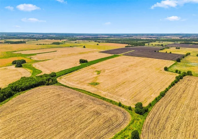 Photo 3 of Land for sale at 0000 County Road 3210, Cooper, TX 75432 | MLS# 21294078 | Listing updated on 2026-08-31