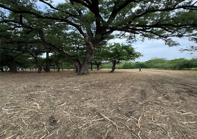 Photo 15 of Land for sale at Lot 92 Se Cr 1190, Richland, TX 76681 | MLS# 21293541 | Listing updated on 2026-09-01