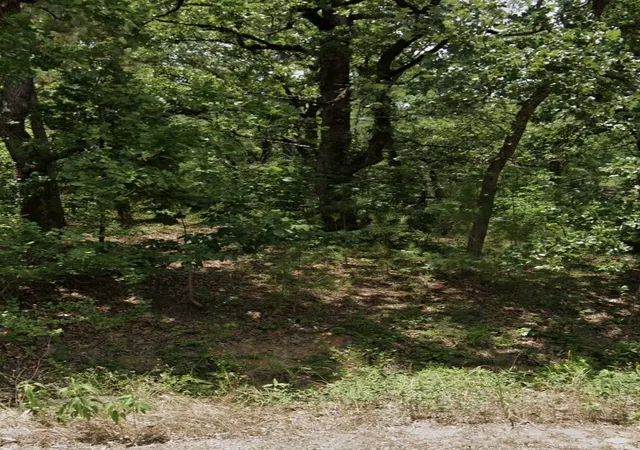 Photo 3 of Land for sale at 5343 Sam Bass, Malakoff, TX 75148 | MLS# 21294177 | Listing updated on 2026-07-06