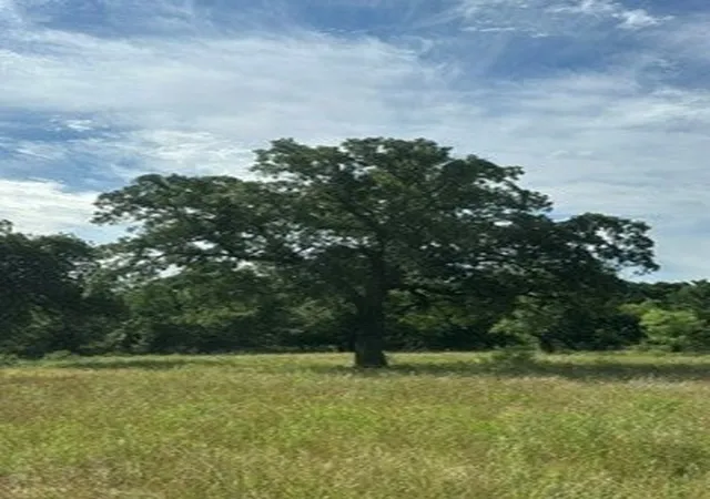 Photo 4 of Land for sale at Tbd (Lot 7) Barry Rd, Henrietta, TX 76365 | MLS# 21293936 | Listing updated on 2026-07-16