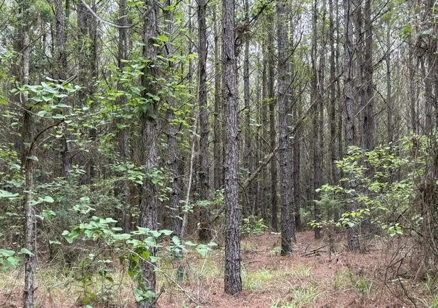 3rd image of 000 Hearn Sykes, Shongaloo, LA 71072 | MLS# 21294199