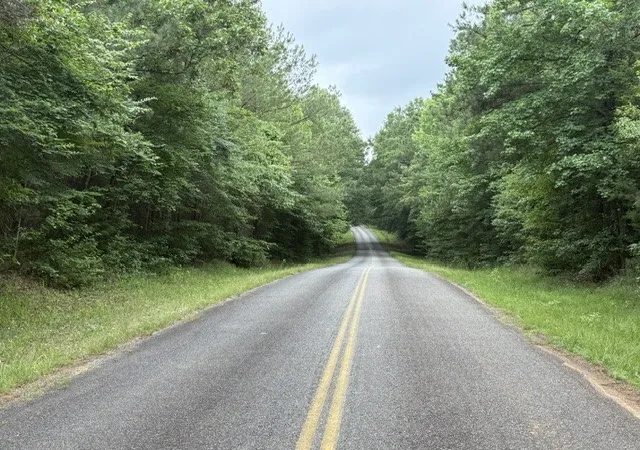 4th image of 000 Hearn Sykes, Shongaloo, LA 71072 | MLS# 21294199