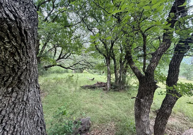 Photo 4 of Land for sale at 2840 County Road 404, Early, TX 76802 | MLS# 21294534 | Listing updated on 2026-09-18