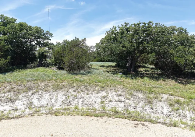 Homes for sale in Perrin, TX | Tbd Turkey Ct, Perrin, TX 76449 | MLS# 21292325