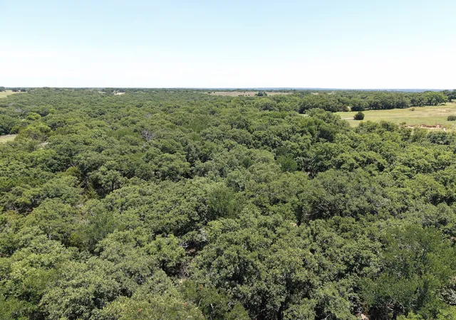 Homes for sale in Perrin, TX | Tbd Turkey Ct, Perrin, TX 76449 | MLS# 21292325