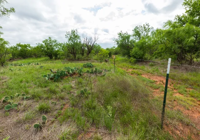 Homes for sale in Abilene, TX | Tbd Pr 4082, Abilene, TX 79601 | MLS# 21294718