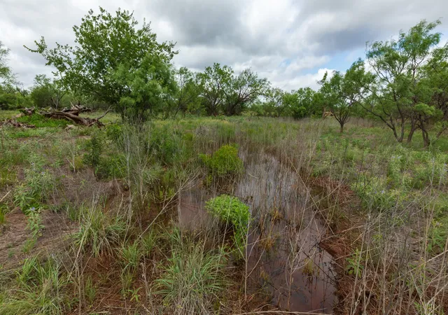 Photo 3 of Sale Pending at Tbd Pr 4082, Abilene, TX 79601 | MLS# 21294718 | Listing updated on 2026-08-25