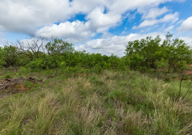 Photo 4 of Sale Pending at Tbd Pr 4082, Abilene, TX 79601 | MLS# 21294718 | Listing updated on 2026-08-25