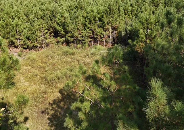 Land for sale at Tbd County Road 3121, Long Branch, TX 75669 | MLS# 21295143