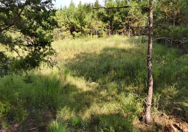 Photo 2 of Land for sale at Tbd County Road 3121, Long Branch, TX 75669 | MLS# 21295143 | Listing updated on 2026-07-14