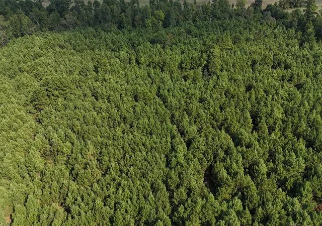 Photo 3 of Land for sale at Tbd County Road 3121, Long Branch, TX 75669 | MLS# 21295143 | Listing updated on 2026-07-14