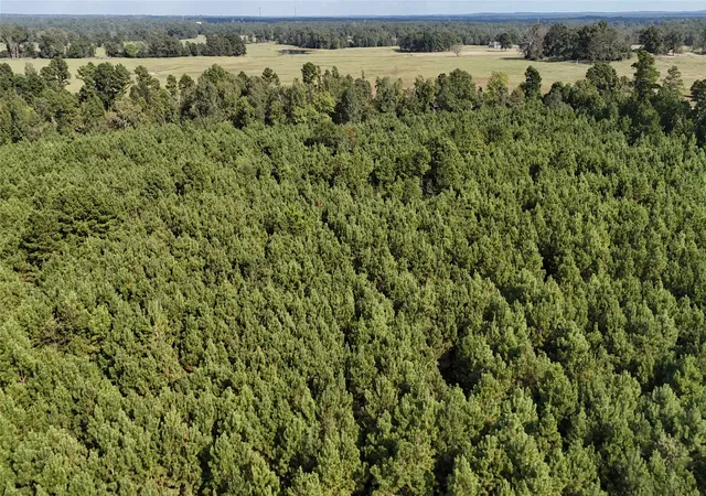 Photo 4 of Land for sale at Tbd County Road 3121, Long Branch, TX 75669 | MLS# 21295143 | Listing updated on 2026-07-14
