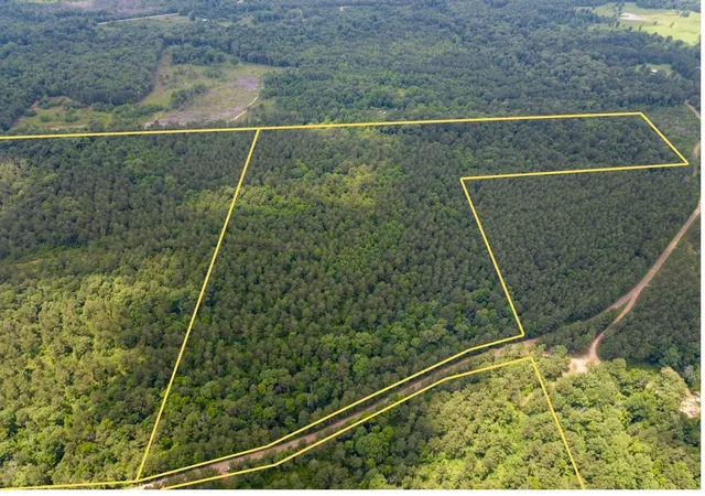 2nd image of 2 Posey Webb Camp Road, Sicily Island, LA 71343 | MLS# 21295233