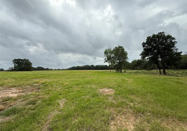 Photo 1 of Land for sale at 210 Livingston St, Edgewood, TX 75117 | MLS# 21295145 | Listing updated on 2026-08-24