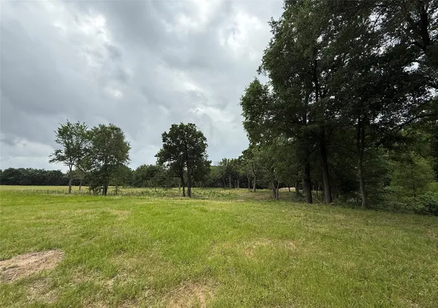 Photo 2 of Land for sale at 210 Livingston St, Edgewood, TX 75117 | MLS# 21295145 | Listing updated on 2026-08-24