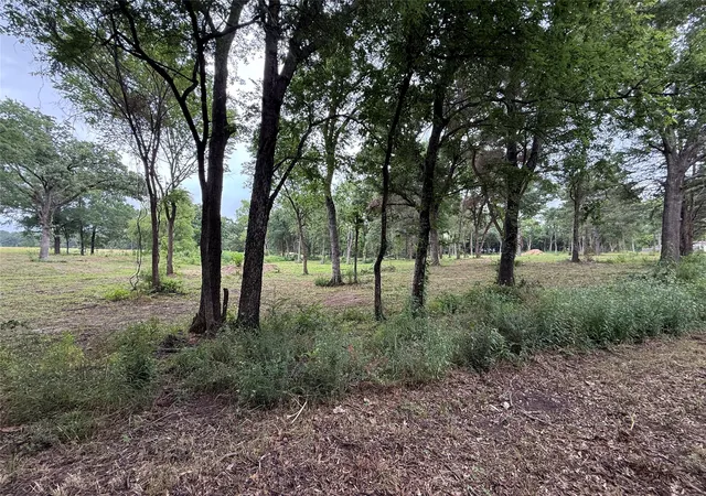 Photo 4 of Land for sale at 210 Livingston St, Edgewood, TX 75117 | MLS# 21295145 | Listing updated on 2026-08-24