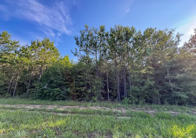 Homes for sale in Pitkin, LA | 2 Hwy 10, Pitkin, LA 70656 | MLS# 21295367