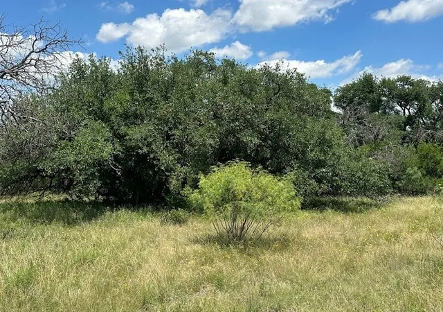 Homes for sale in Sidney, TX | 000 Tract 19, 165 County Rd, Sidney, TX 76474 | MLS# 21295339