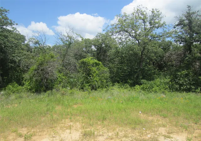 Homes for sale in Tolar, TX | 625 Dana Ct, Tolar, TX 76476 | MLS# 21293620