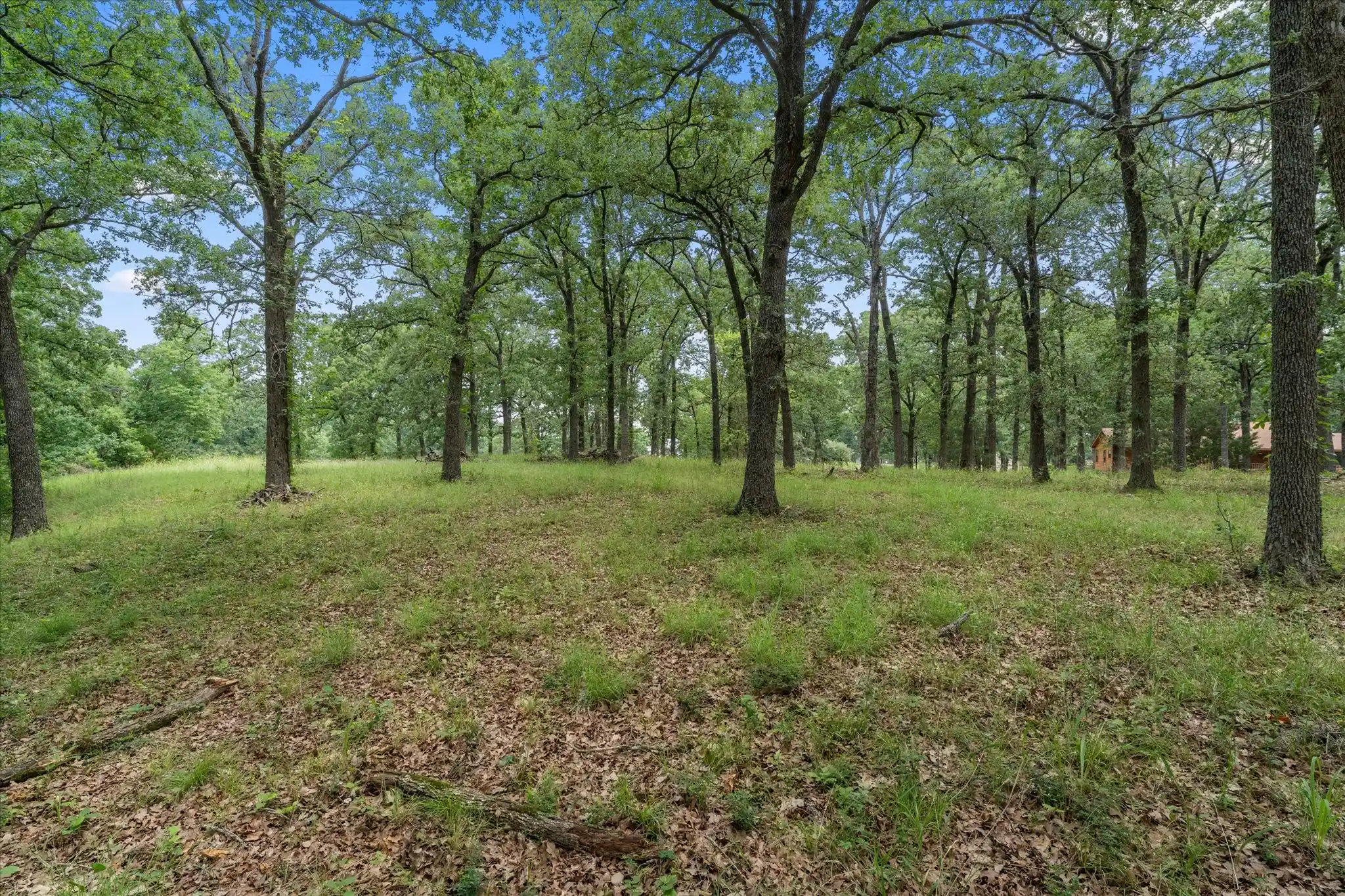 Photo 1 of Land for sale at 78 & 79 Tall Oaks Dr, Streetman, TX 75859 | MLS# 21295855 | Listing updated on 2026-06-09