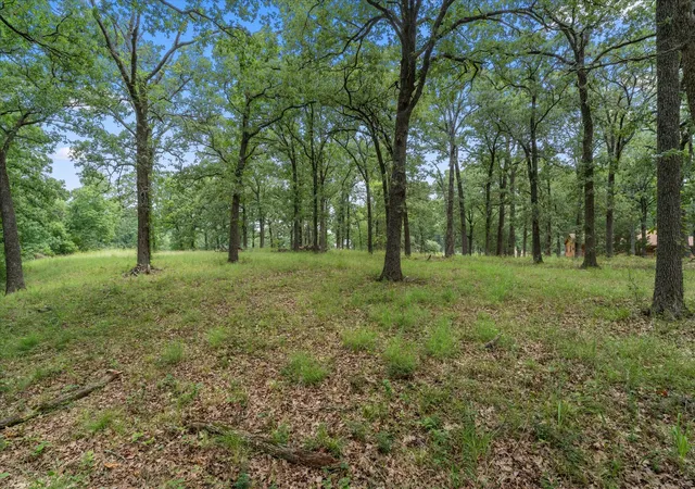 Homes for sale in Streetman, TX | 78 & 79 Tall Oaks Dr, Streetman, TX 75859 | MLS# 21295855